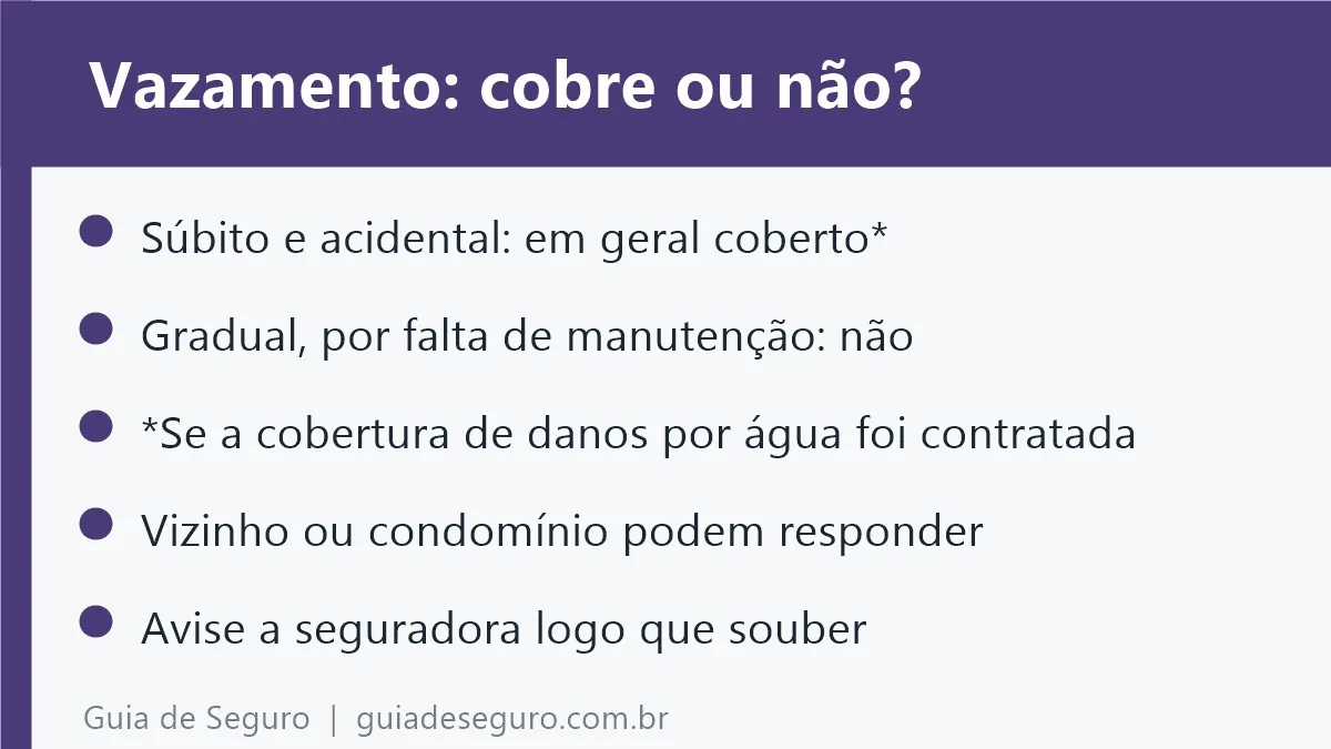 Resumo em imagem: vazamento e infiltração no seguro residencial